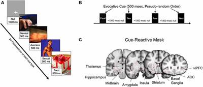 Women at Greater Sexual Risk for STIs/HIV Have a Lower Mesolimbic and Affective Bias Response to Sexual Stimuli